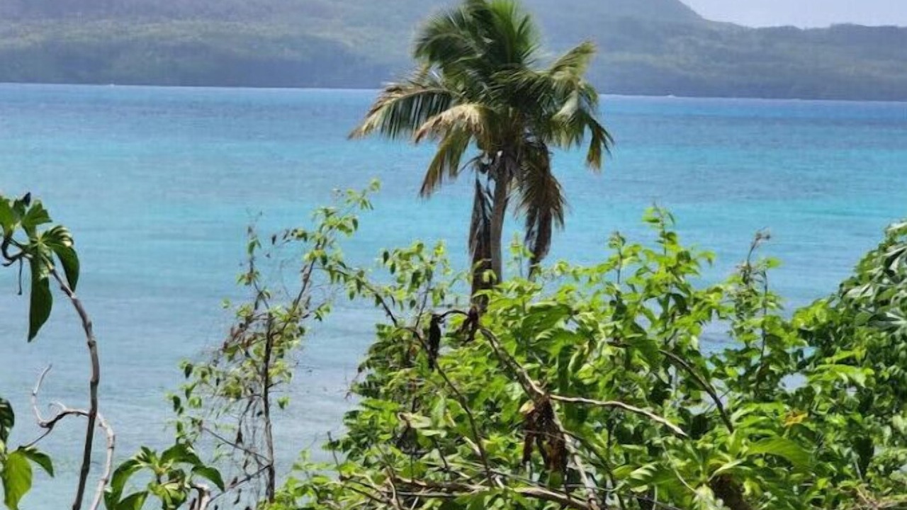Photo of Others in Las Galeras