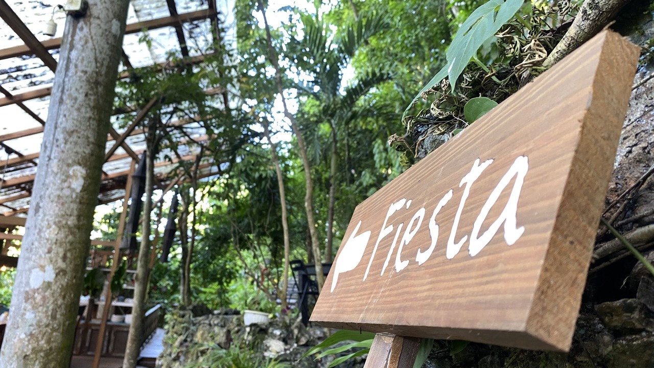 Photo of Outdoor in Samana