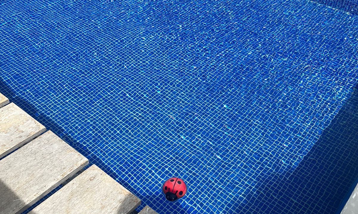 Photo of Outdoor in Punta Cana