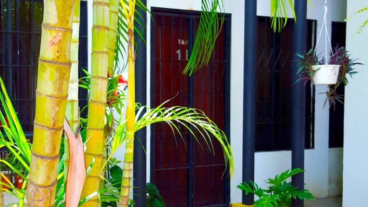 Photo of Outdoor in Zona Colonial