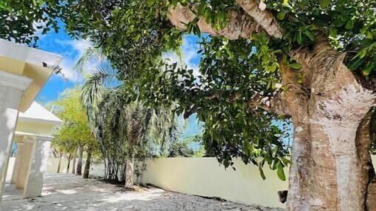 Photo of Outdoor in Punta Cana