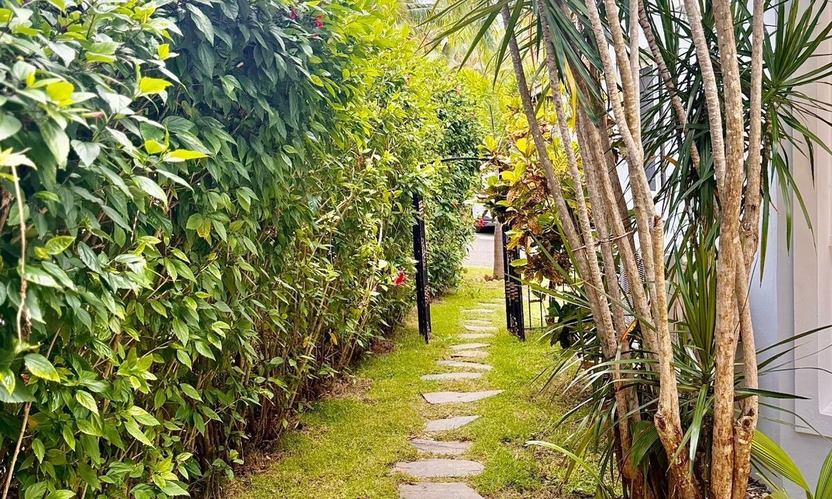 Photo of Outdoor in El Batey