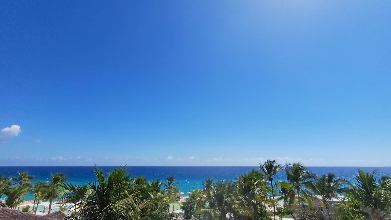 Photo of Others in Dominicus