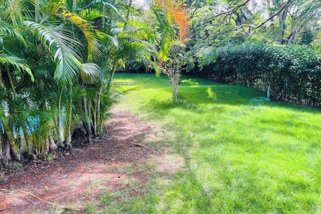 Photo of Outdoor in El Batey