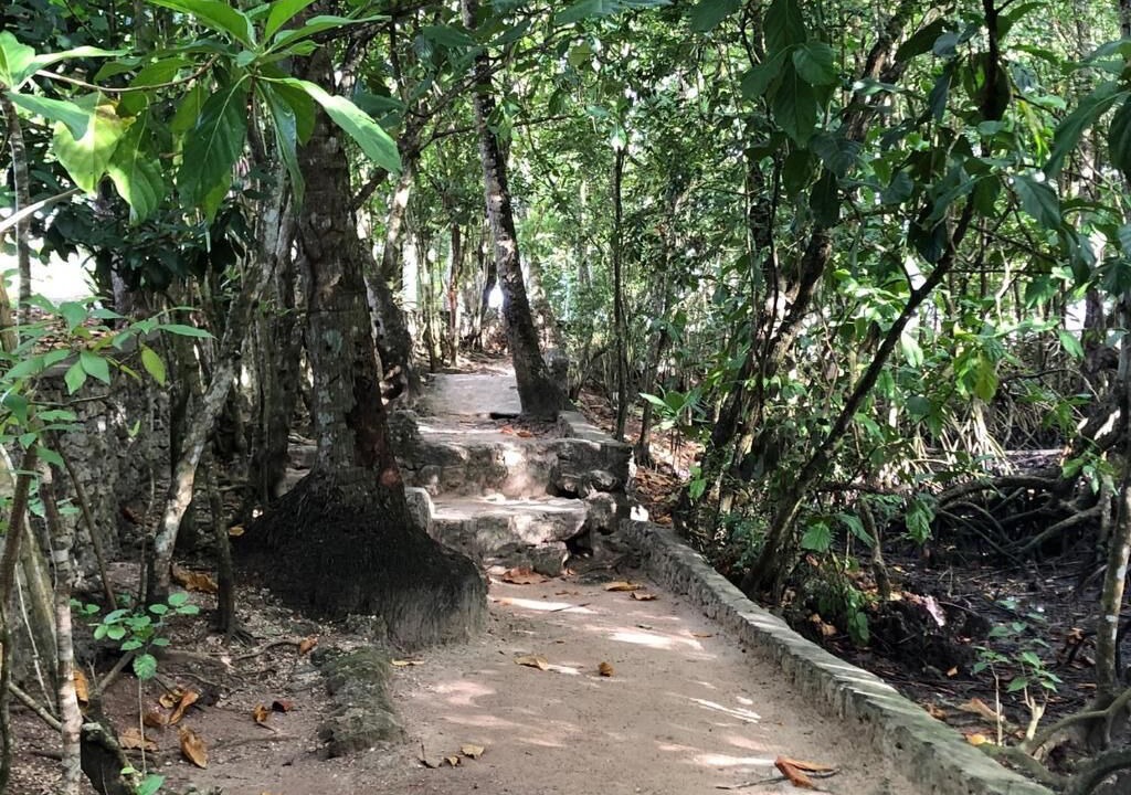 Photo of Others in Rio San Juan