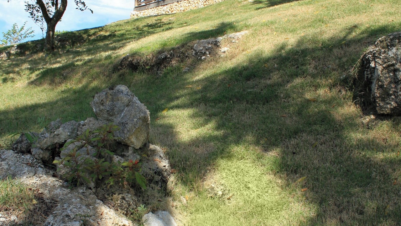 Photo of Outdoor in Sosua