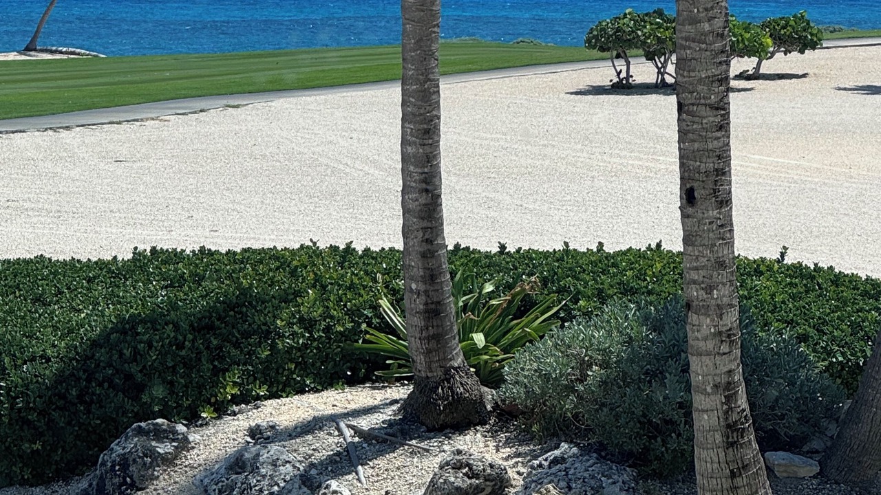 Photo of Others in Punta Cana