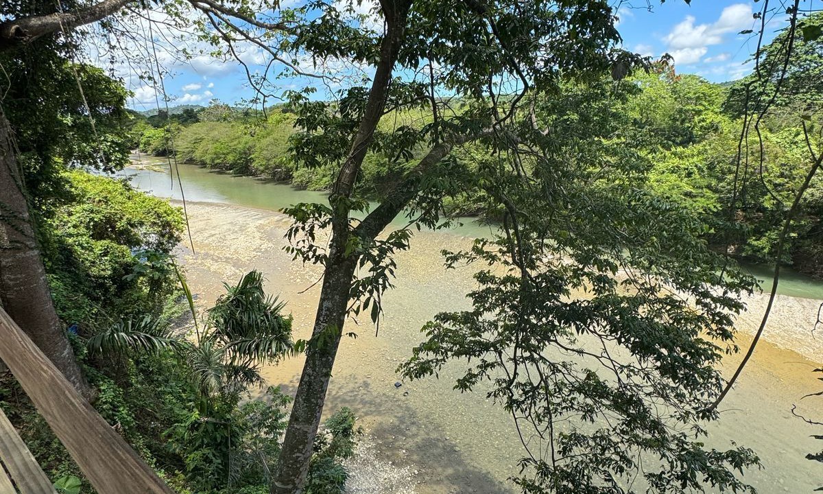 Photo of Others in Imbert