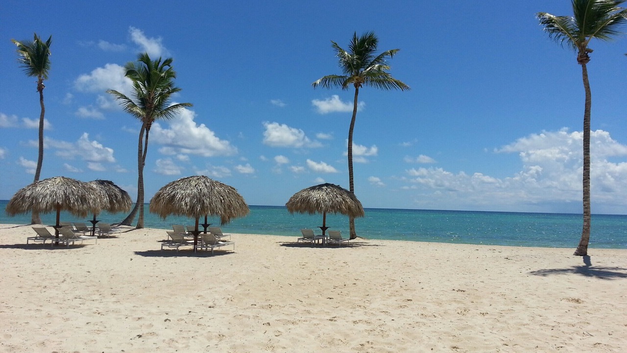 Photo of Others in Cap Cana Marina