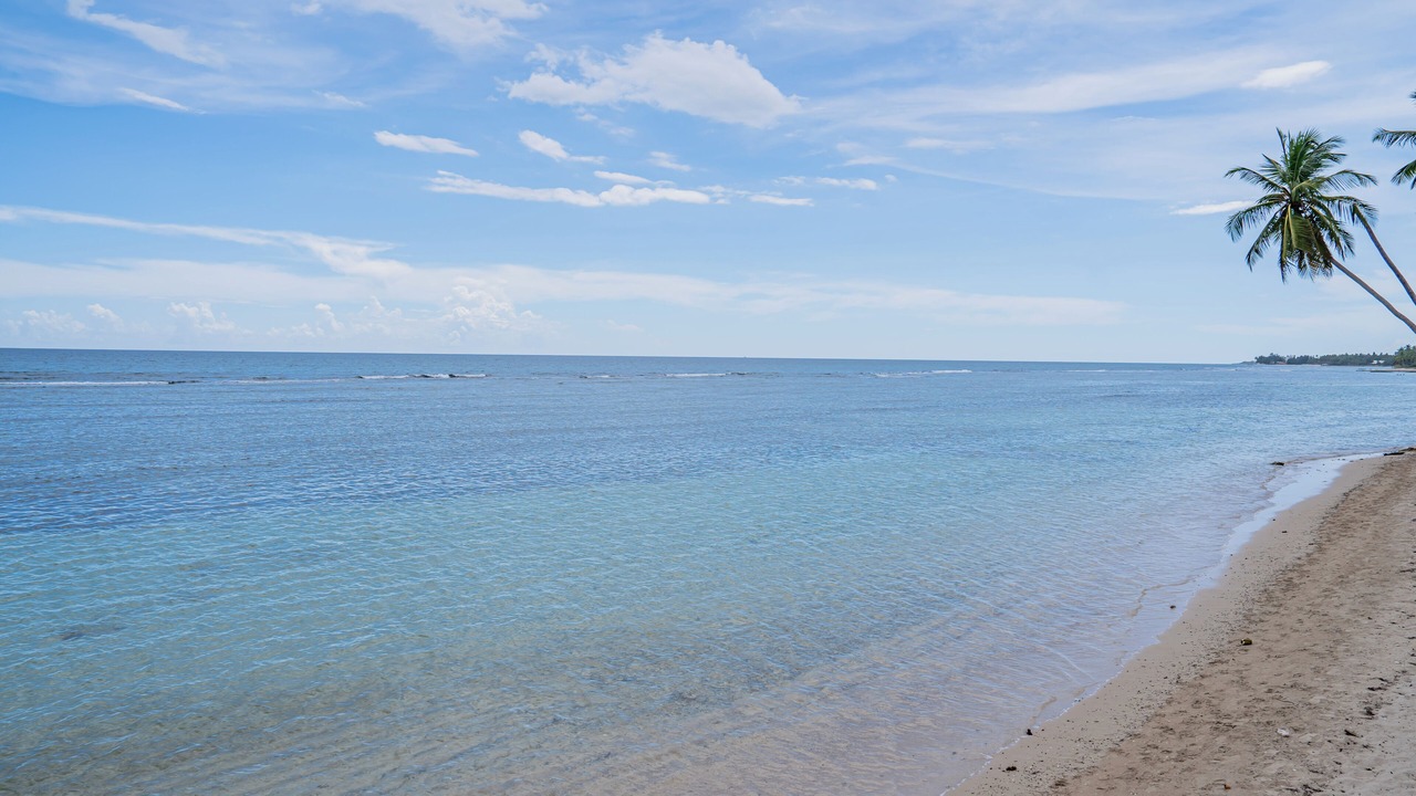 Photo of Others in Guayacanes