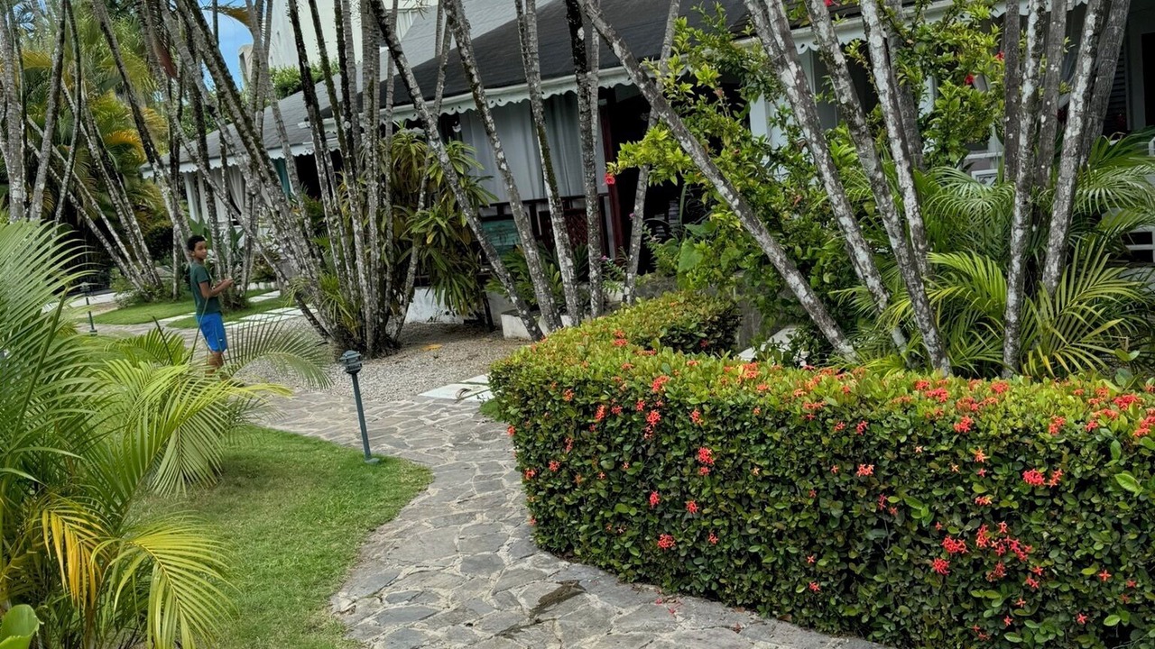 Photo of Outdoor in El Callejon