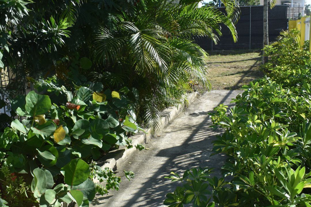 Photo of Outdoor in Boca Chica