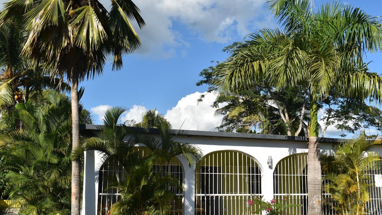 Photo of Outdoor in Boca Chica