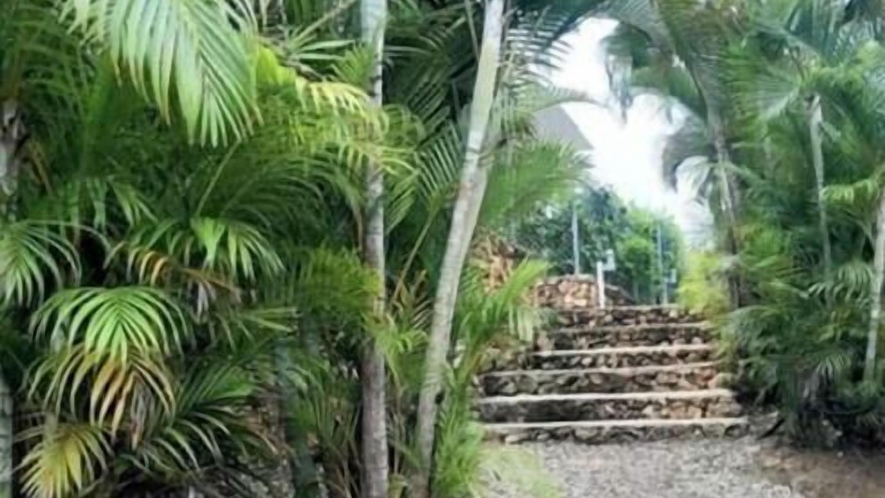 Photo of Outdoor in Urbanizacion Tavarez
