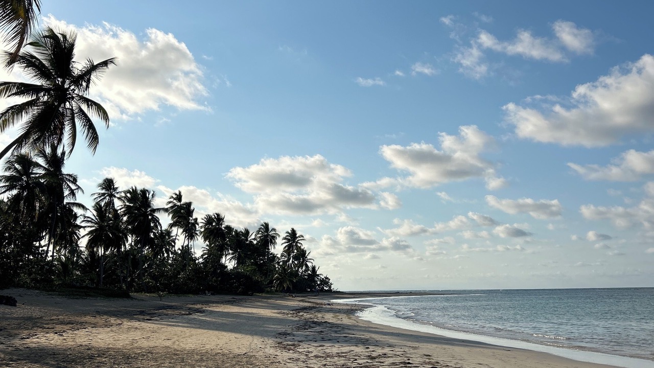 Photo of Others in Las Terrenas