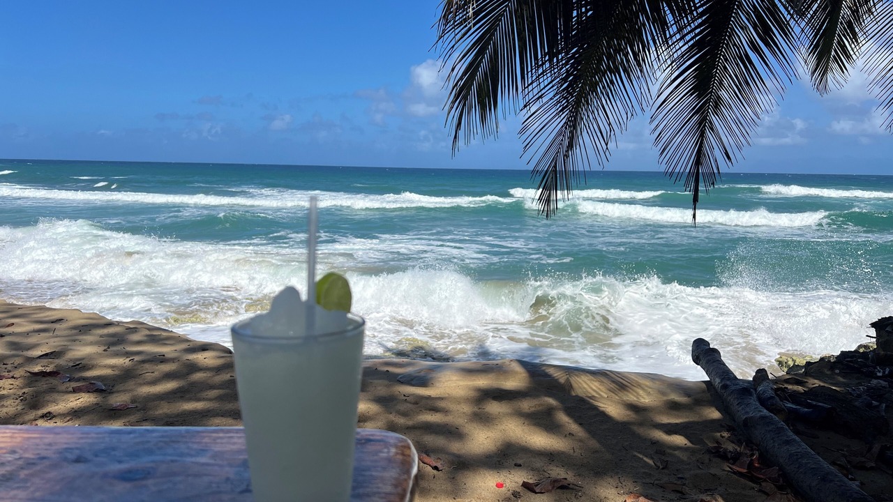 Photo of Others in Playa Chiquita