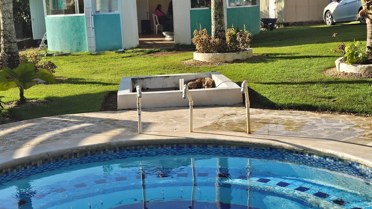 Photo of Livingroom in Higuey