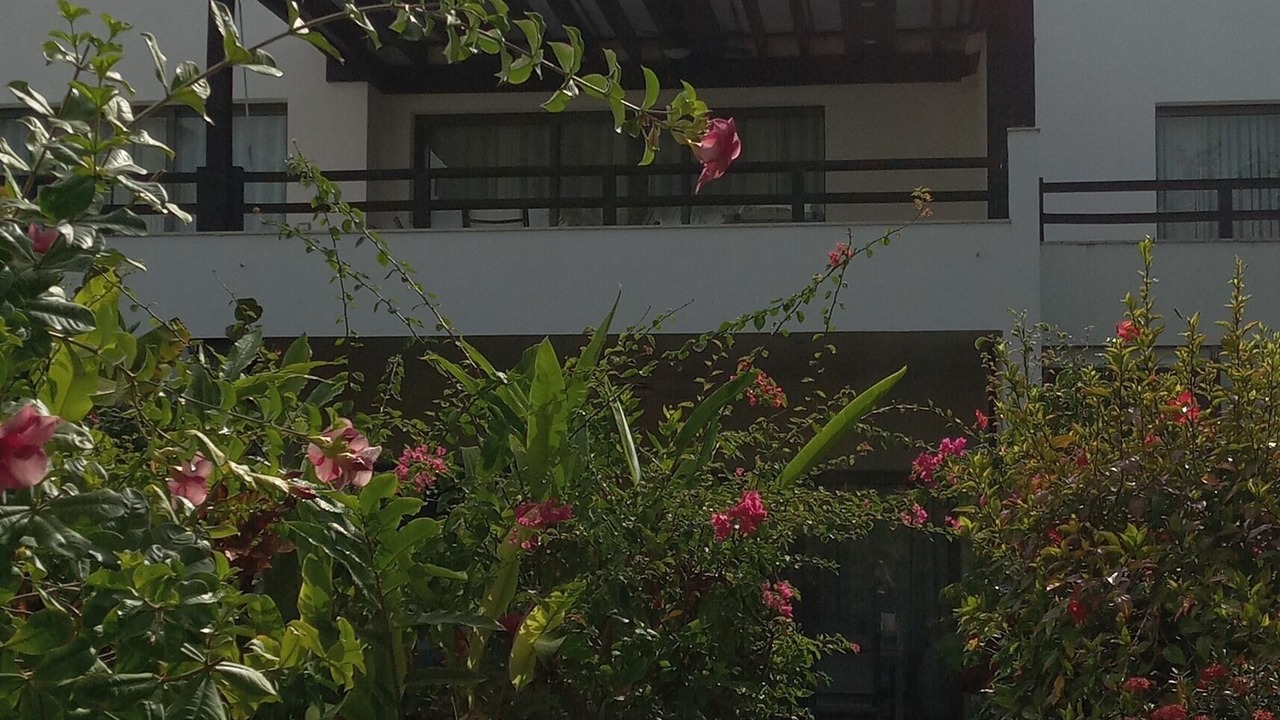 Photo of Outdoor in La Iglesia