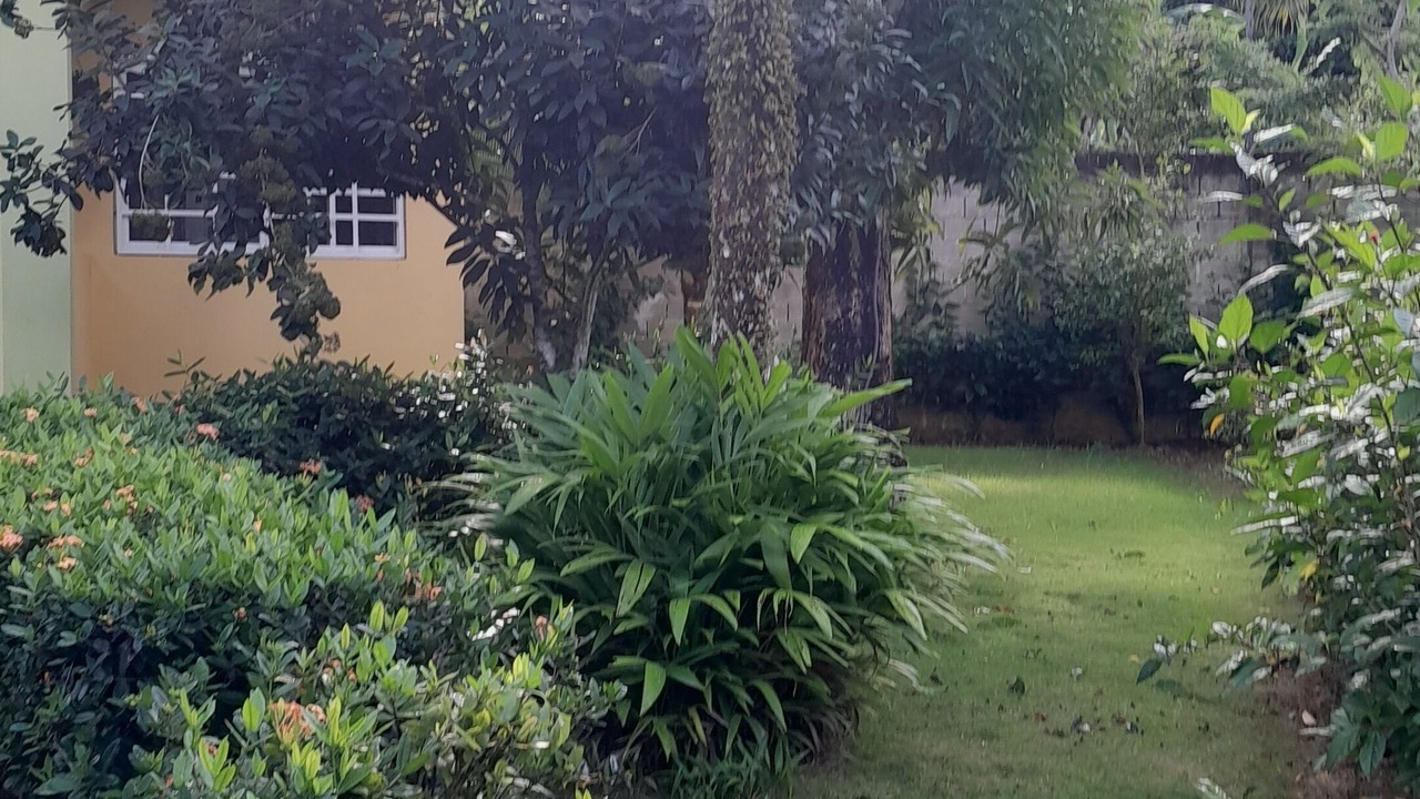 Photo of Outdoor in Las Terrenas