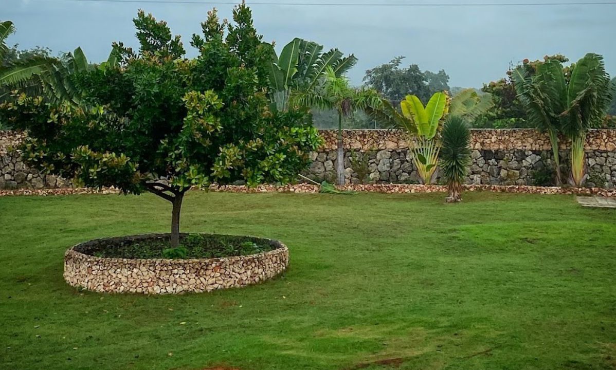 Photo of Outdoor in San Gregorio de Nigua