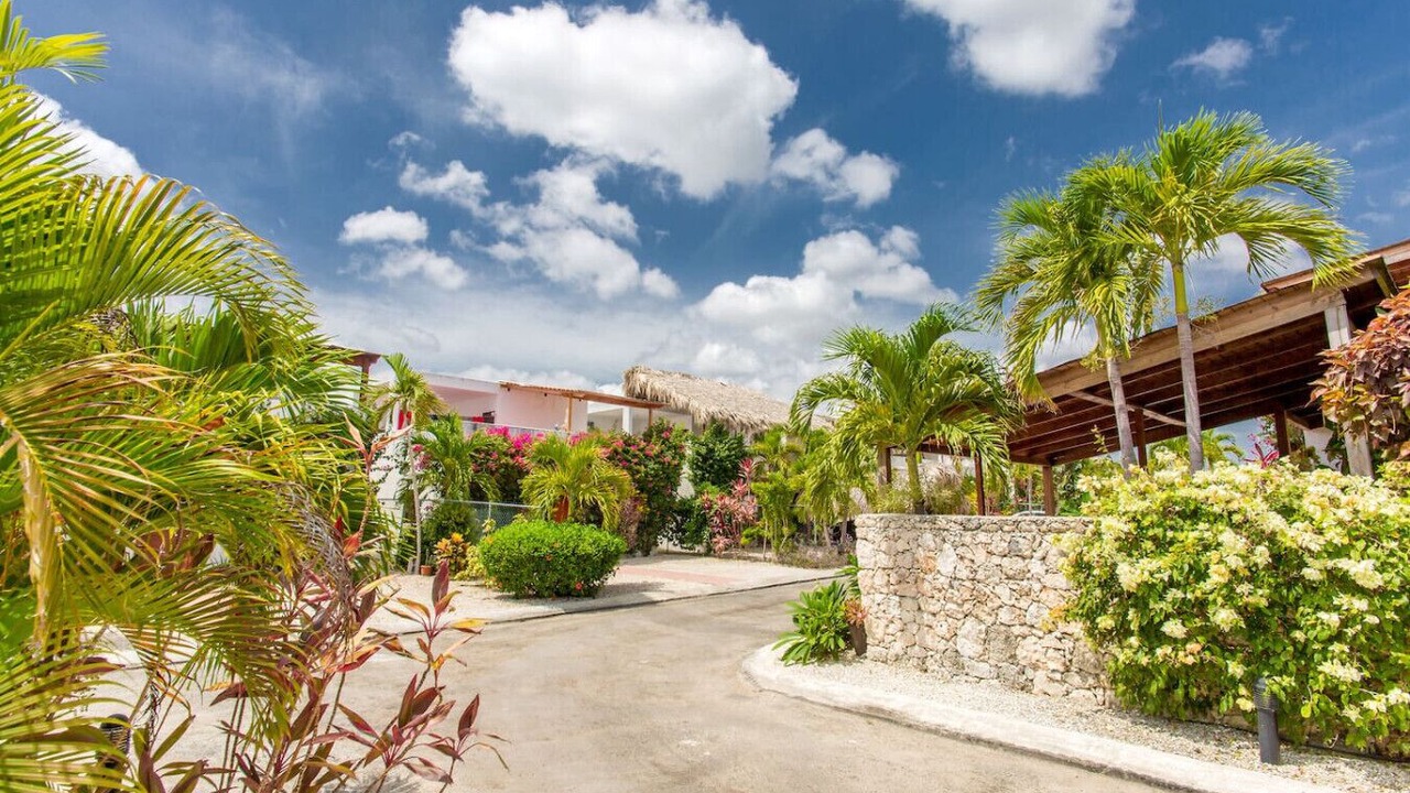 Photo of Outdoor in Bavaro