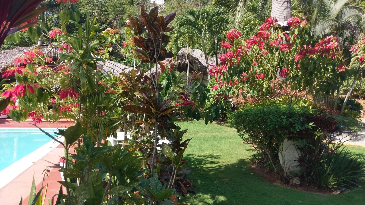 Photo of Outdoor in La Iglesia