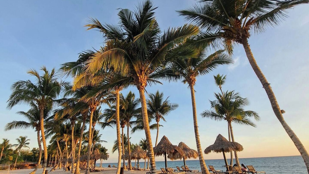 Photo of Others in Dominicus