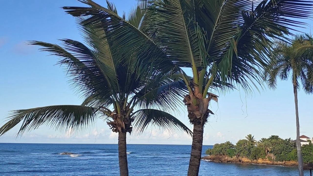Photo of Others in Sosua