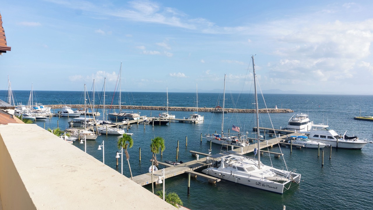 Photo of Others in Puerto Bahia