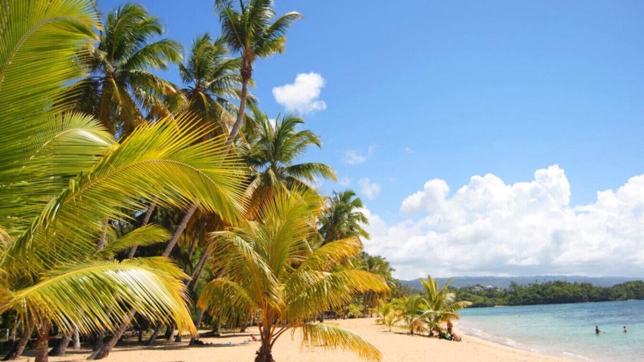 Photo of Others in Las Terrenas