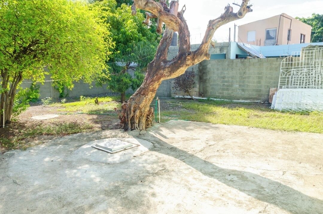 Photo of Outdoor in Bani