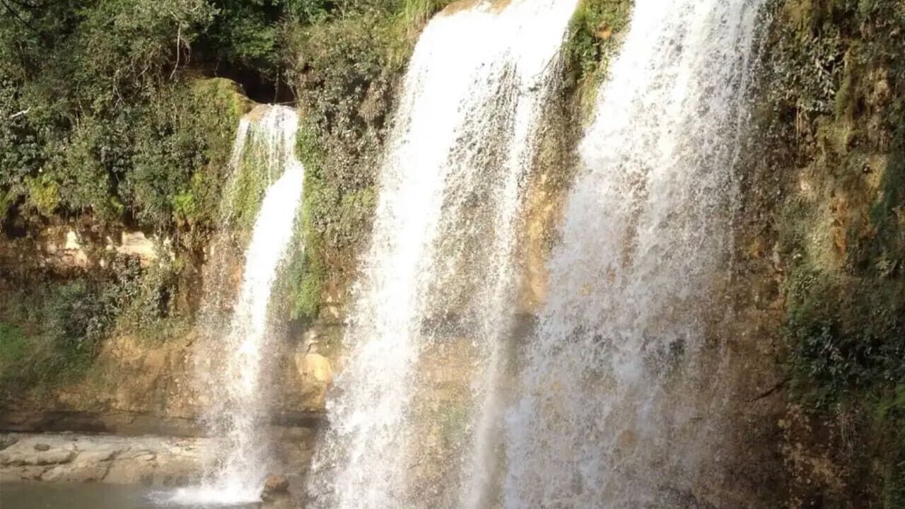 Photo of Others in Bayaguana