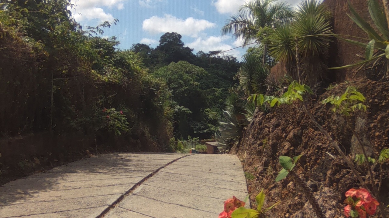 Photo of Outdoor in La Ceiba