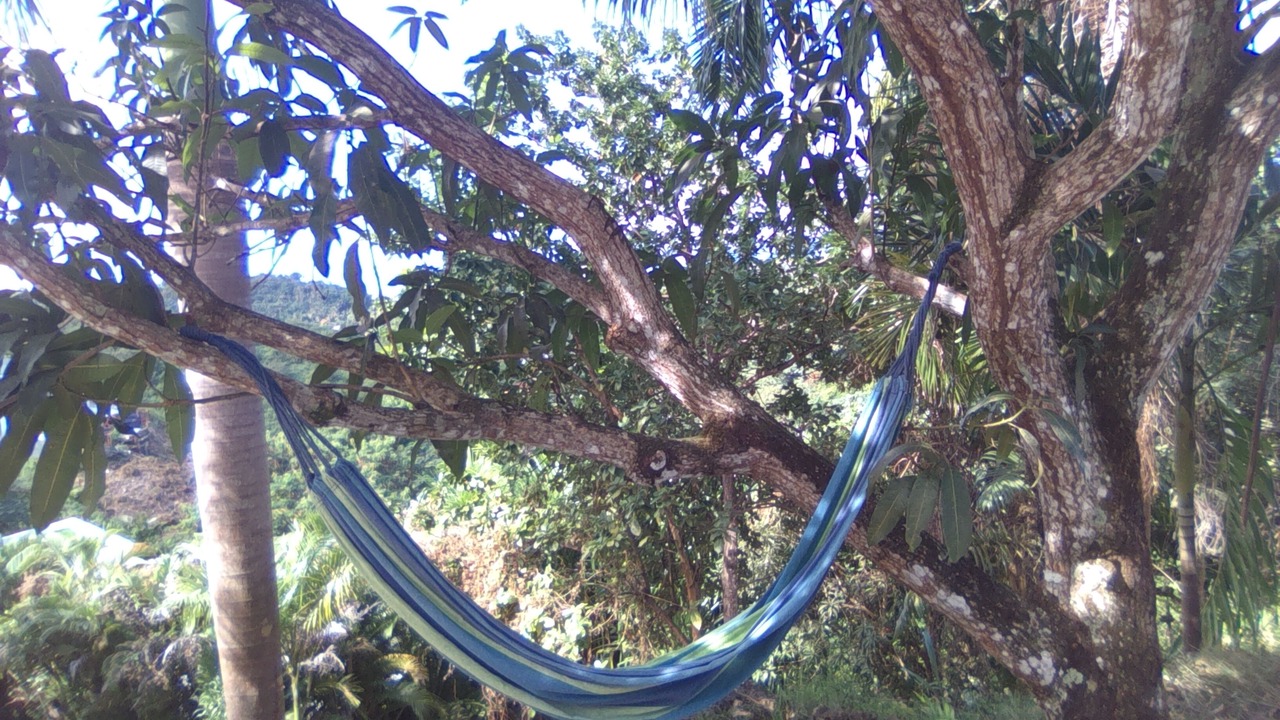 Photo of Others in La Ceiba