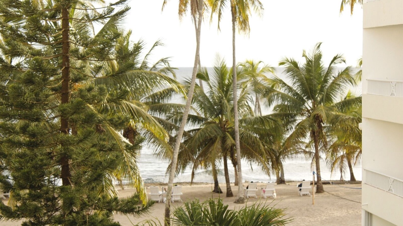 Photo of Others in Juan Dolio - El Pueblo