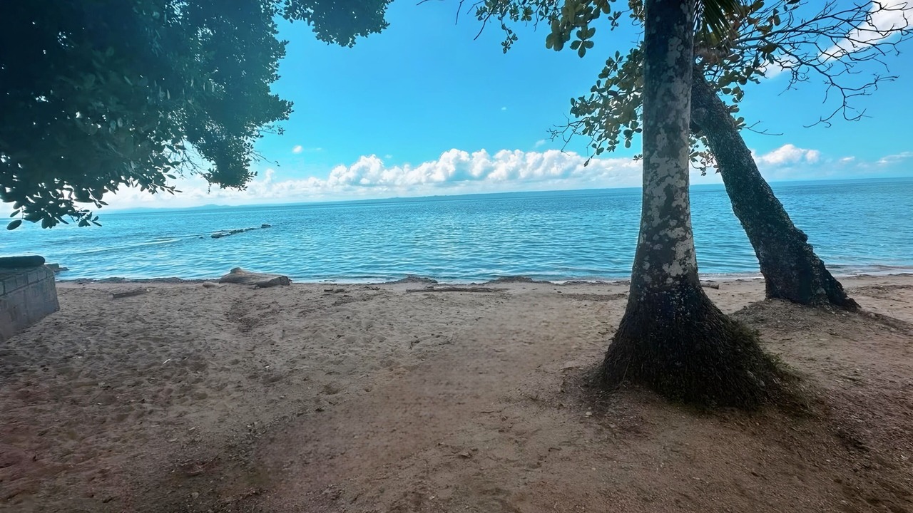 Photo of Others in Puerto Bahia