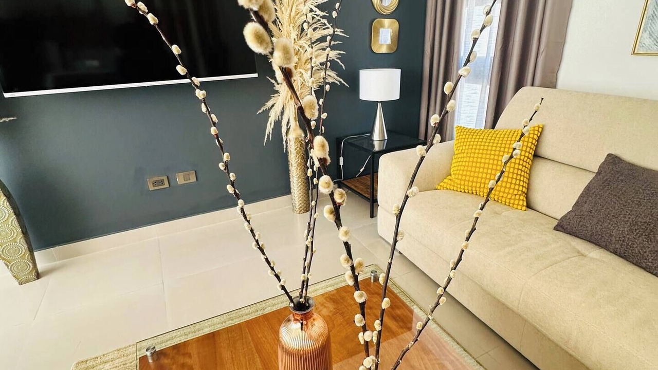 Photo of Livingroom in Playa Chiquita