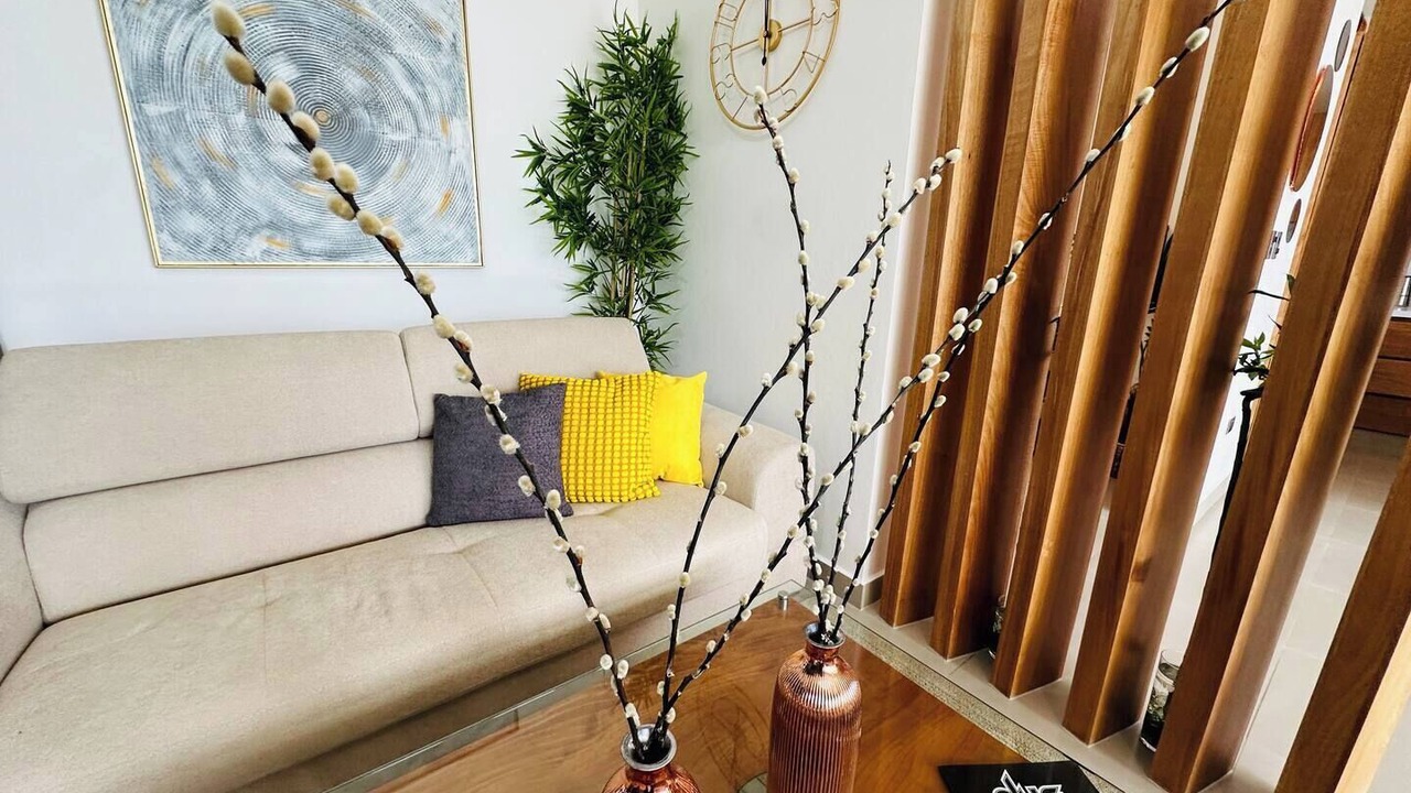 Photo of Livingroom in Playa Chiquita