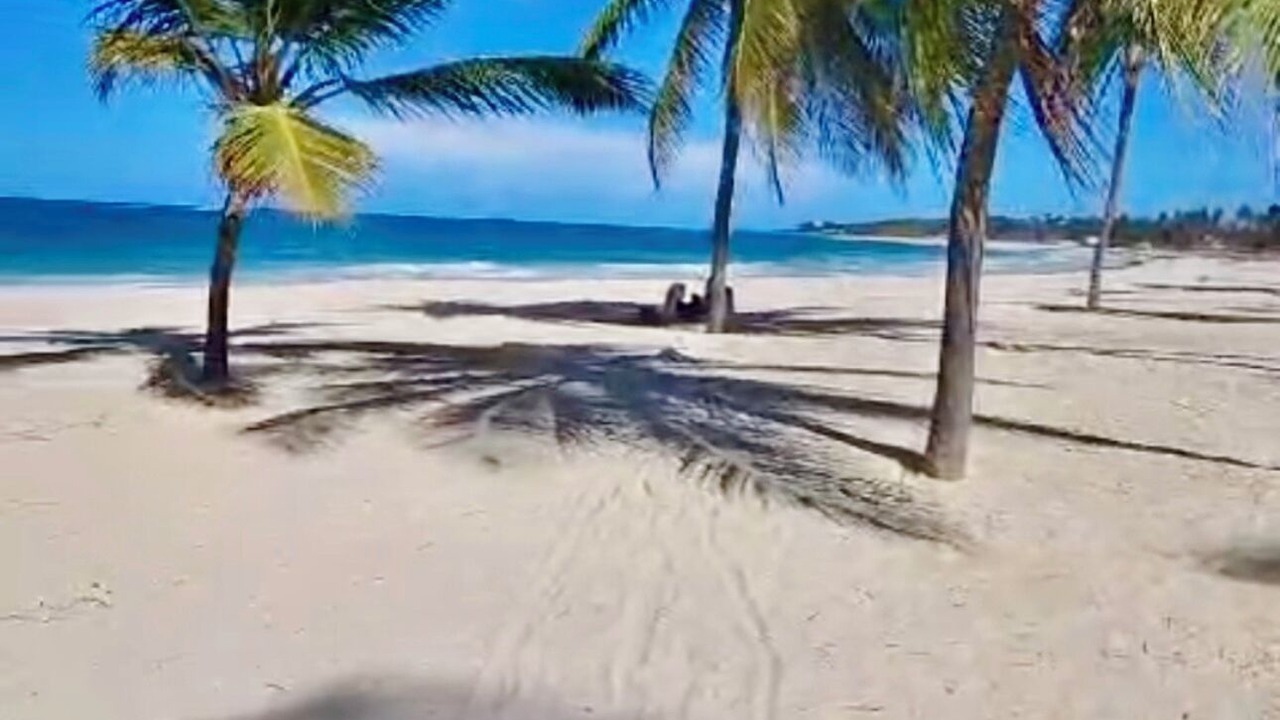 Photo of Others in Bavaro