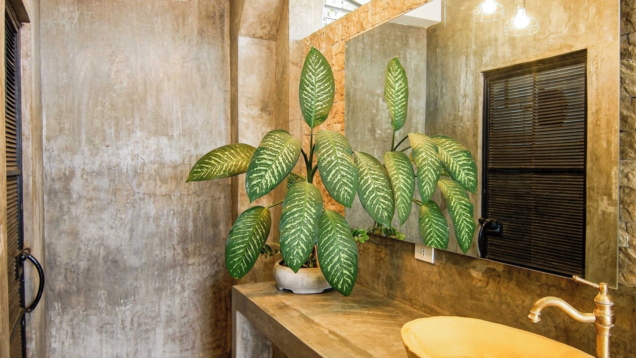 Photo of Bathroom in Alfonso