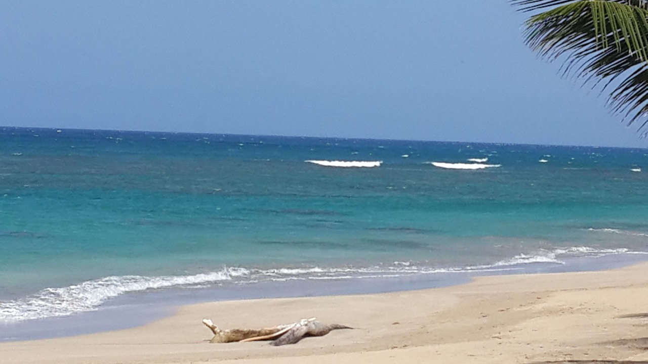 Photo of Others in Punta Cana