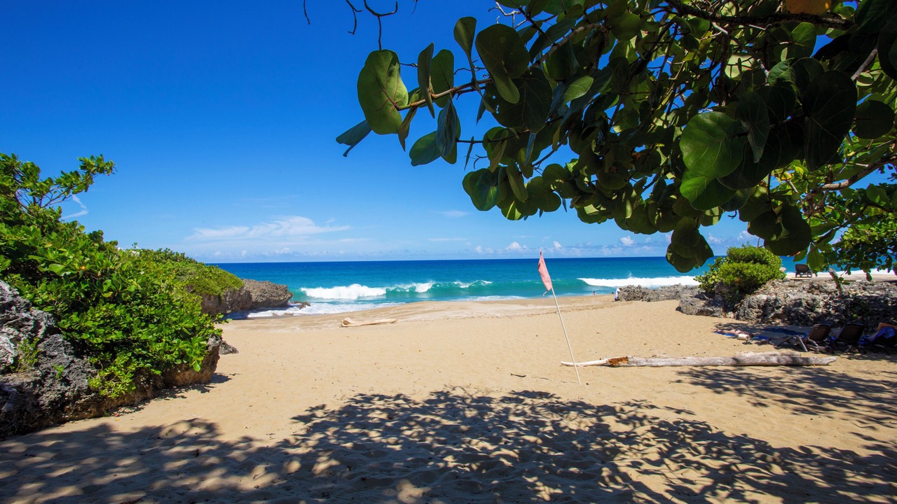 Photo of Others in Playa Chiquita