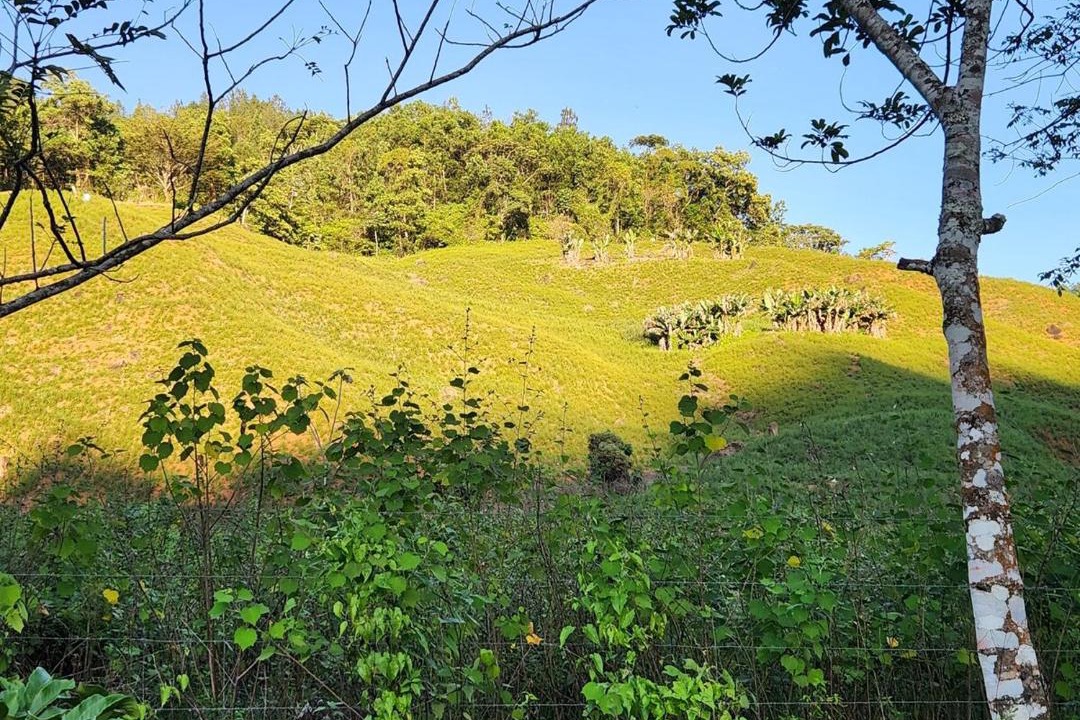 Photo of Others in Bonao