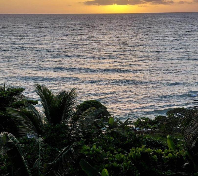 Photo of Others in La Cienaga