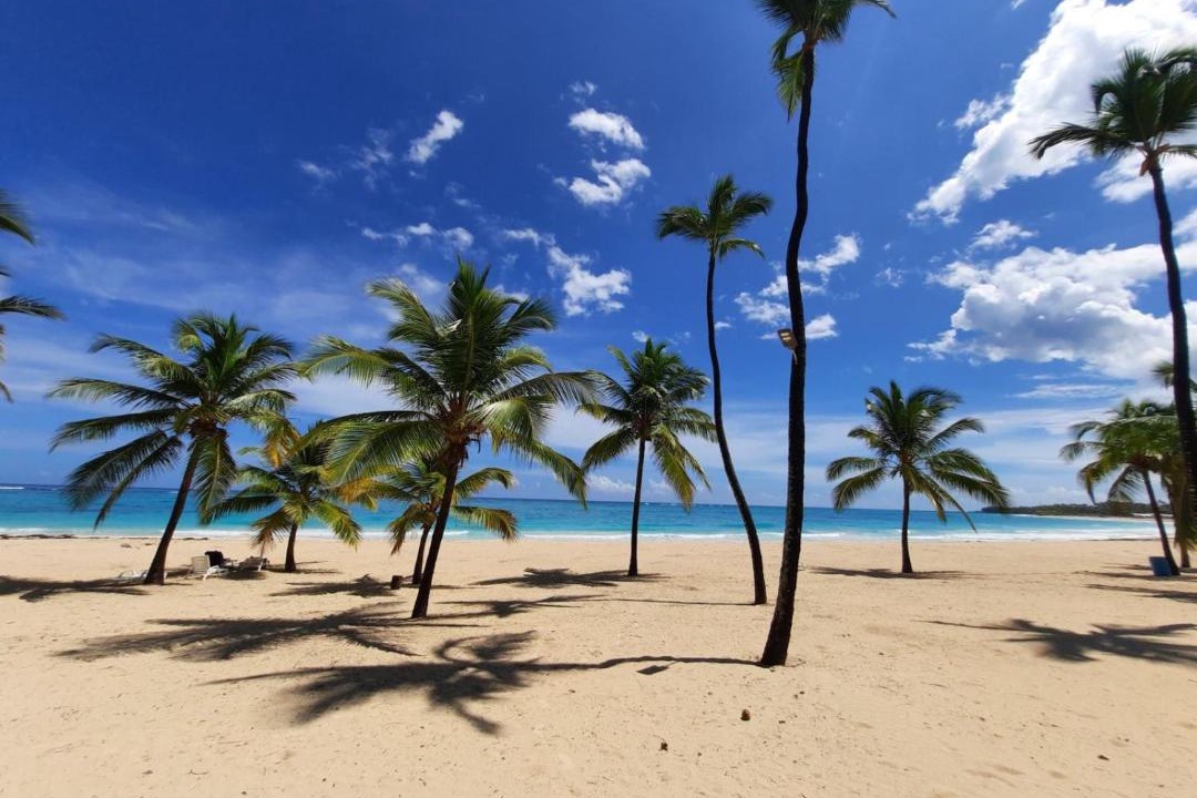 Photo of Others in Bavaro