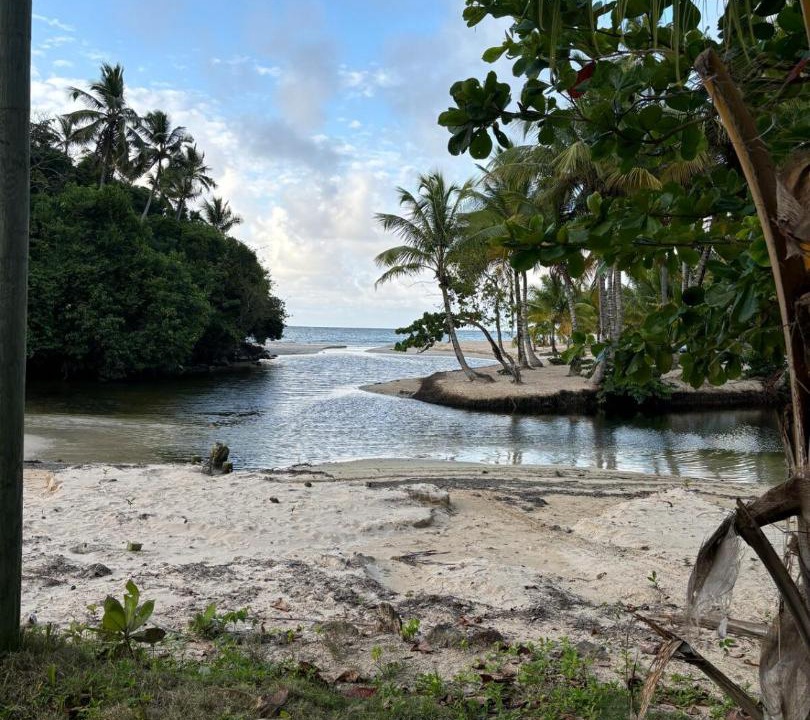 Photo of Others in Las Terrenas