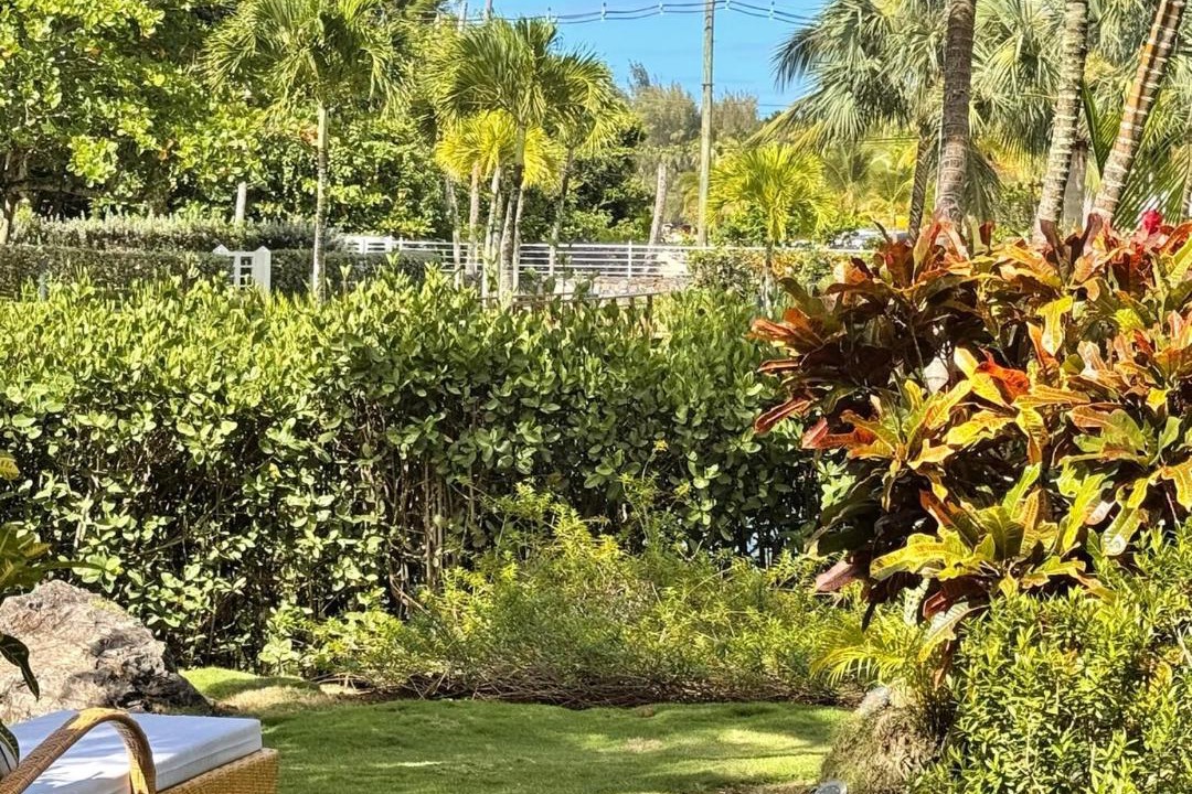 Photo of Others in Las Terrenas