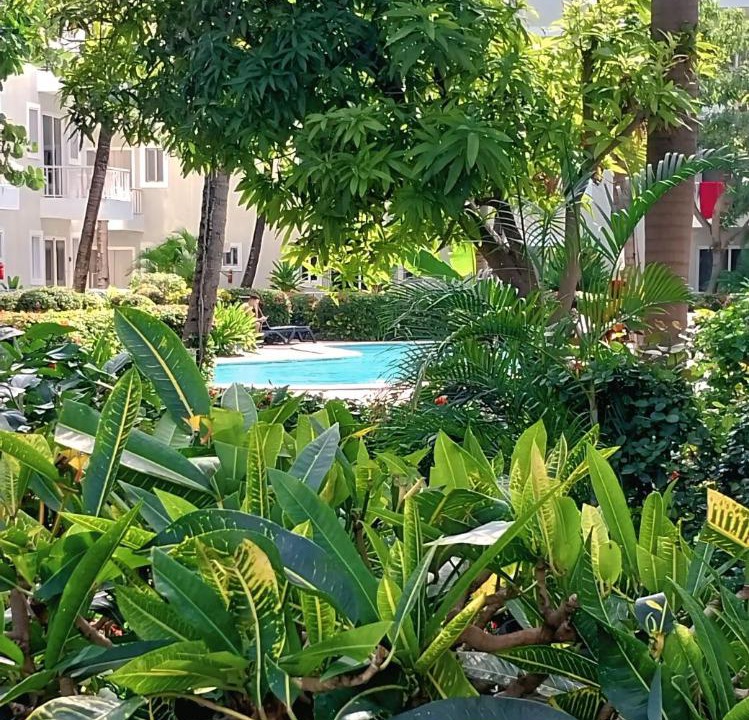 Photo of Others in Bavaro