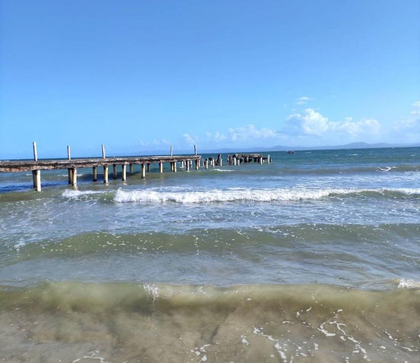 Photo of Others in Puerto Bahia