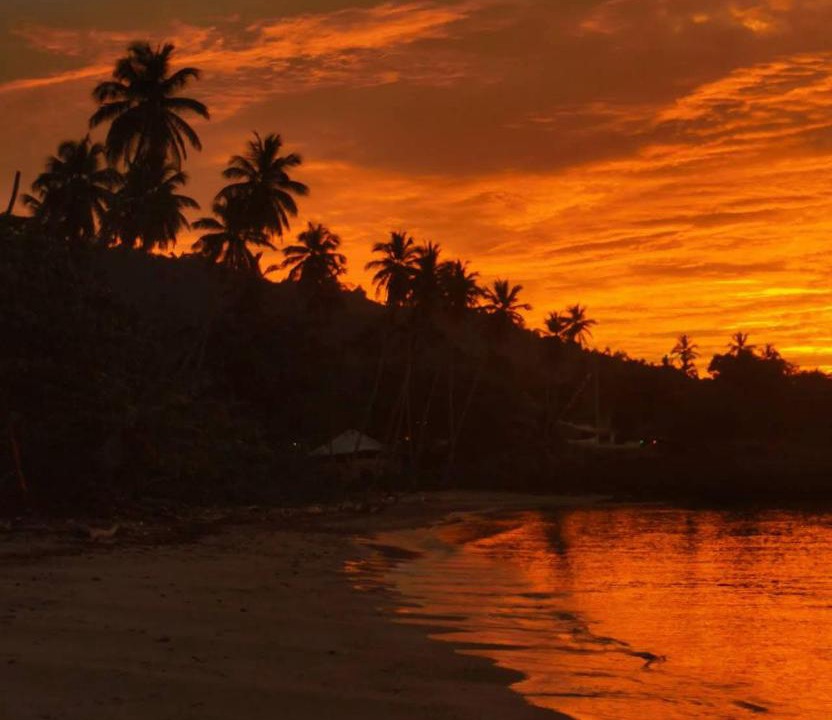 Photo of Others in Puerto Bahia